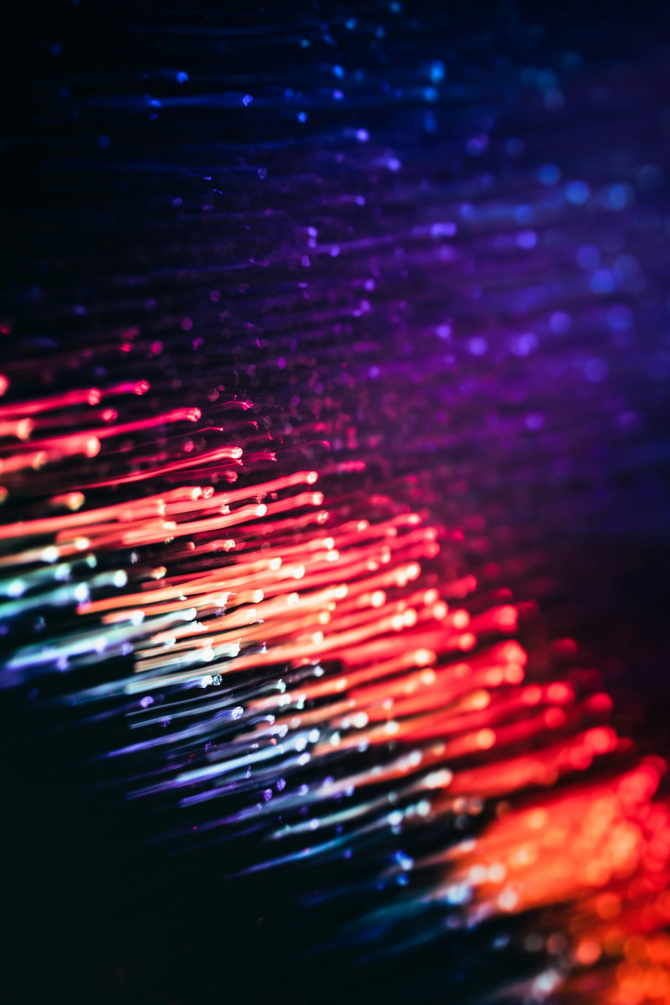 marek-piwnicki-Jb3YsmniwJ4-unsplash marek-piwnicki-Jb3YsmniwJ4-unsplash